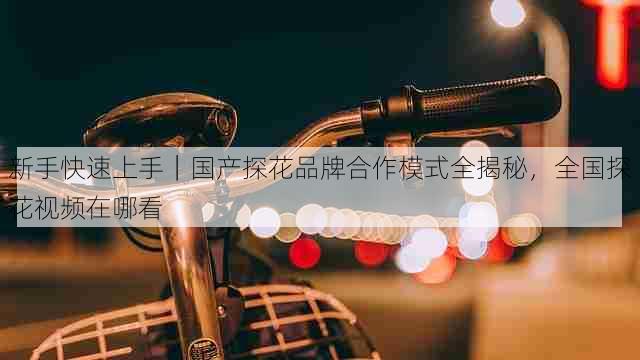 新手快速上手|国产探花品牌合作模式全揭秘,全国探花视频在哪看