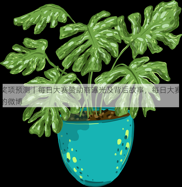 奖项预测|每日大赛赞助商曝光及背后故事,每日大赛的微博