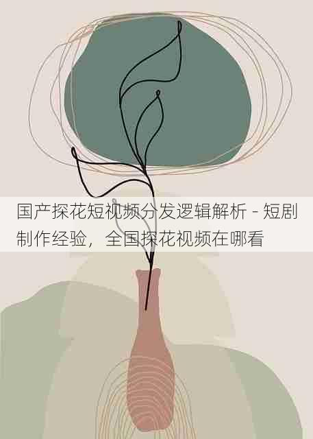 国产探花短视频分发逻辑解析 - 短剧制作经验,全国探花视频在哪看