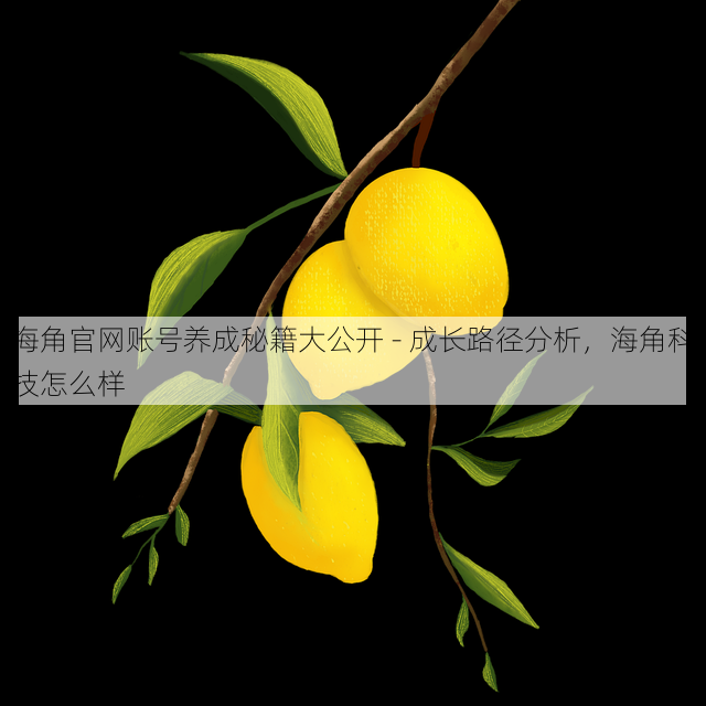 海角官网账号养成秘籍大公开 - 成长路径分析,海角科技怎么样