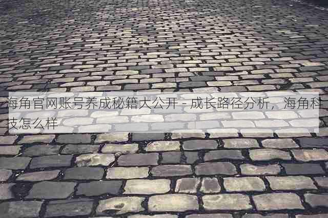 海角官网账号养成秘籍大公开 - 成长路径分析,海角科技怎么样
