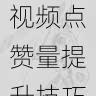 快手成人版短视频点赞量提升技巧-实操指南