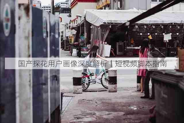 国产探花用户画像深度解析|短视频脚本指南