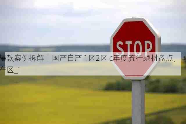 爆款案例拆解|国产自产 1区2区 c年度流行题材盘点,国产区_1