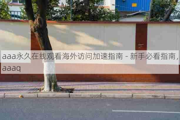 aaa永久在线观看海外访问加速指南 - 新手必看指南,aaaq