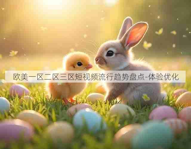 欧美一区二区三区短视频流行趋势盘点-体验优化