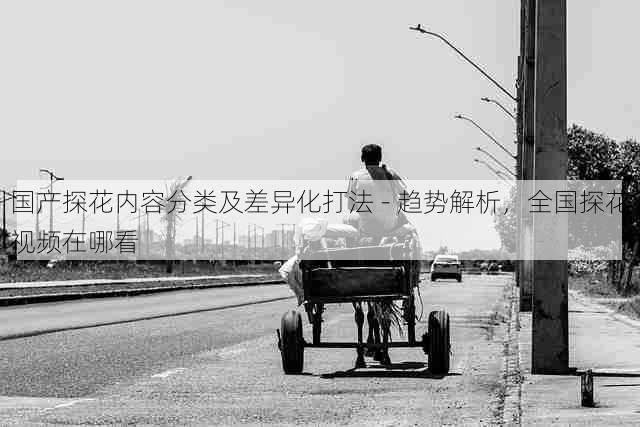国产探花内容分类及差异化打法 - 趋势解析,全国探花视频在哪看