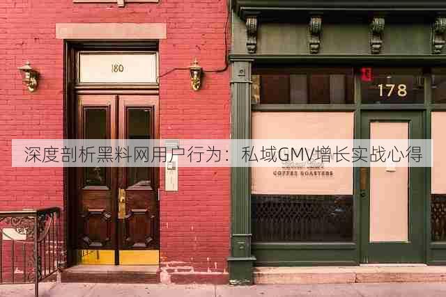 深度剖析黑料网用户行为:私域GMV增长实战心得