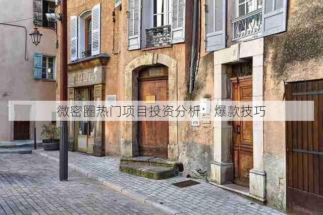 微密圈热门项目投资分析:爆款技巧