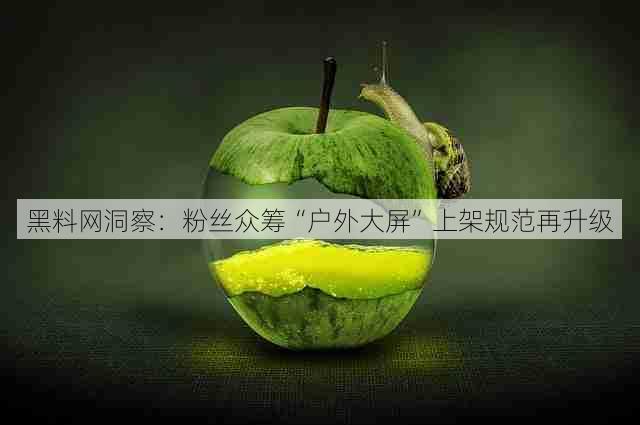 黑料网洞察:粉丝众筹“户外大屏”上架规范再升级