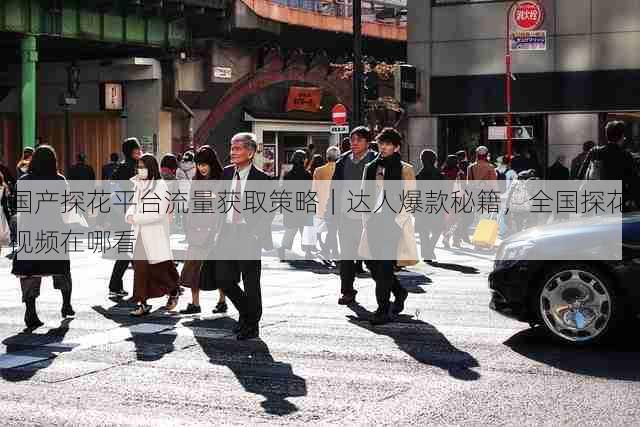 国产探花平台流量获取策略｜达人爆款秘籍，全国探花视频在哪看