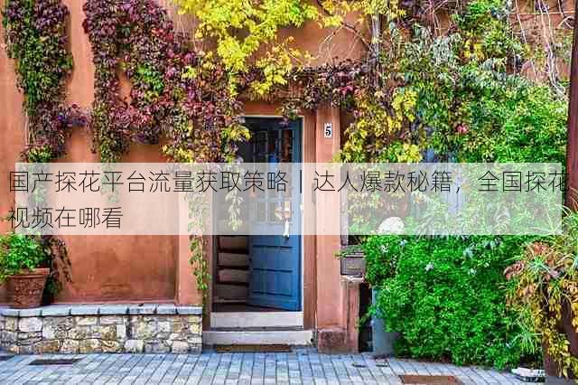国产探花平台流量获取策略｜达人爆款秘籍，全国探花视频在哪看