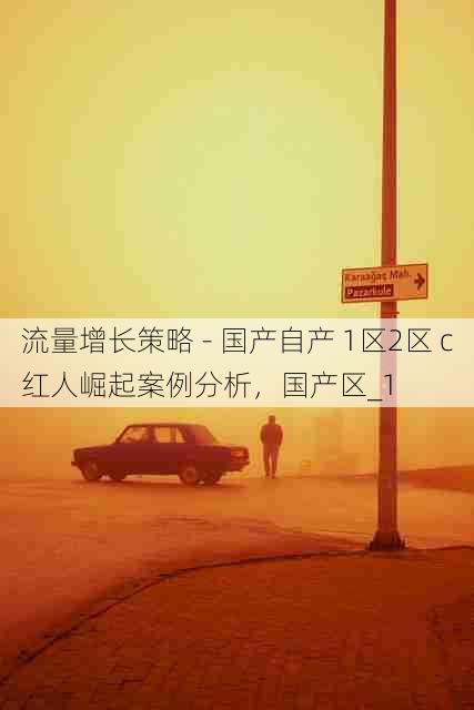 流量增长策略 - 国产自产 1区2区 c红人崛起案例分析,国产区_1