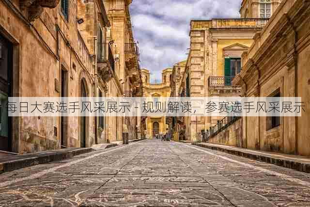 每日大赛选手风采展示 - 规则解读,参赛选手风采展示