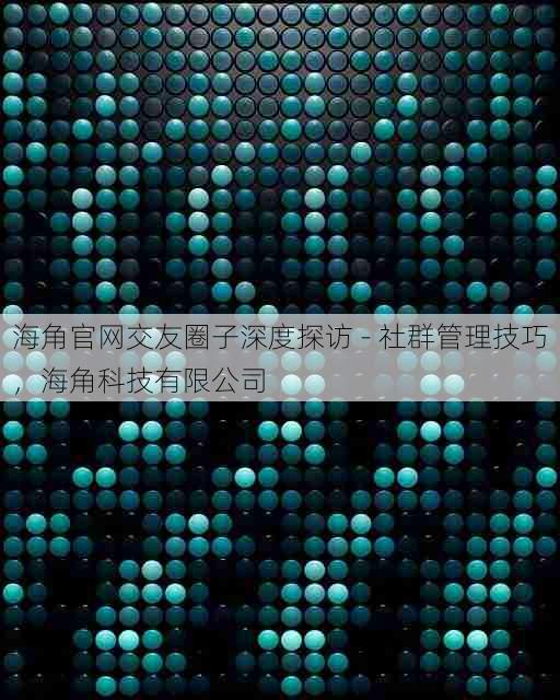 海角官网交友圈子深度探访 - 社群管理技巧,海角科技有限公司