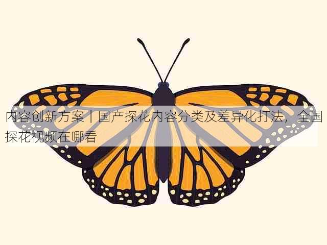 内容创新方案|国产探花内容分类及差异化打法,全国探花视频在哪看