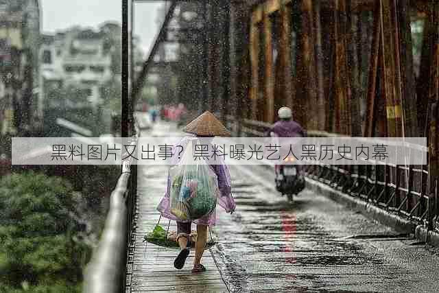 黑料图片又出事?黑料曝光艺人黑历史内幕