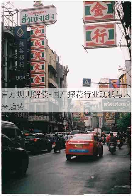 官方规则解读-国产探花行业现状与未来趋势