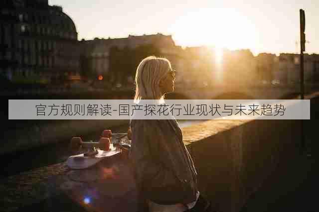 官方规则解读-国产探花行业现状与未来趋势