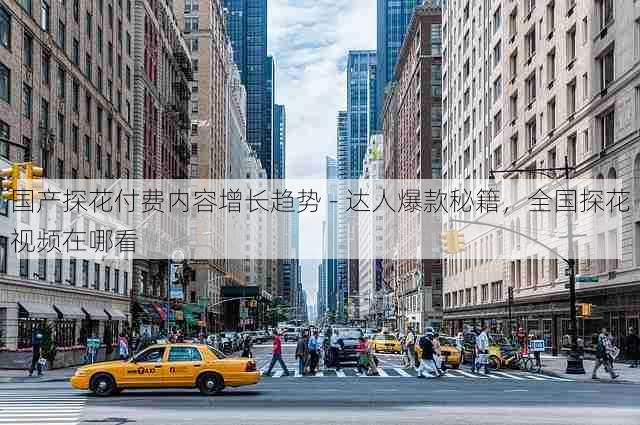 国产探花付费内容增长趋势 - 达人爆款秘籍,全国探花视频在哪看