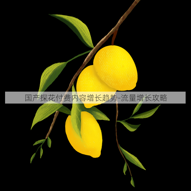 国产探花付费内容增长趋势-流量增长攻略