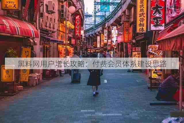 黑料网用户增长攻略:付费会员体系建设思路