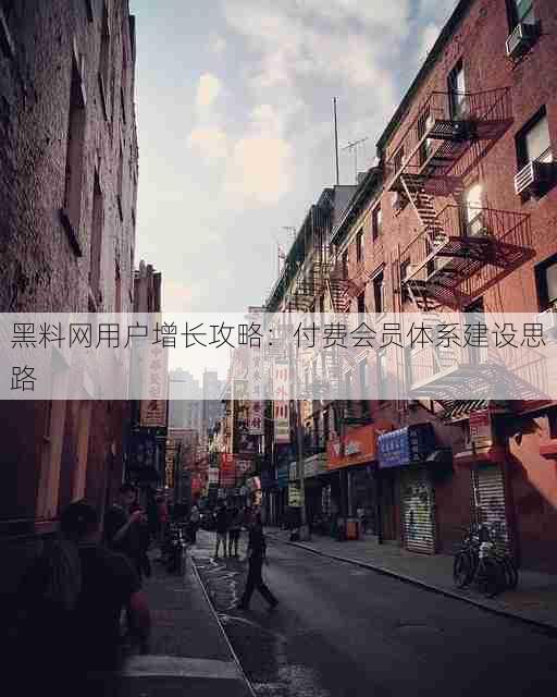 黑料网用户增长攻略:付费会员体系建设思路