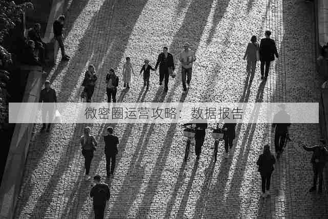 微密圈运营攻略:数据报告