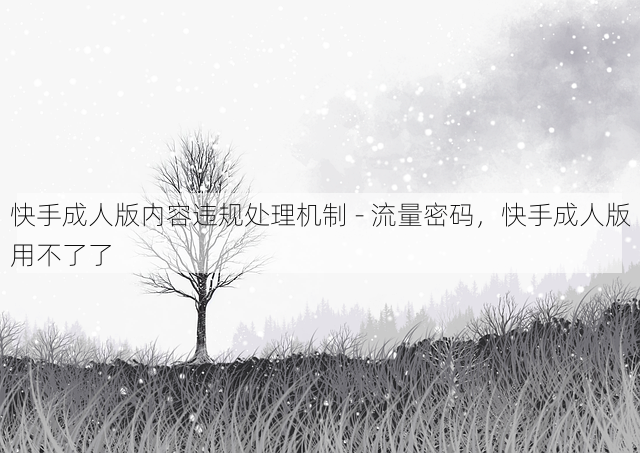 快手成人版内容违规处理机制 - 流量密码,快手成人版用不了了