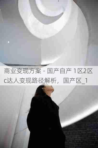 商业变现方案 - 国产自产 1区2区 c达人变现路径解析，国产区_1