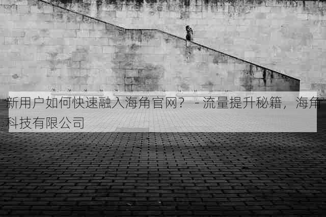 新用户如何快速融入海角官网？ - 流量提升秘籍，海角科技有限公司