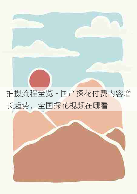 拍摄流程全览 - 国产探花付费内容增长趋势，全国探花视频在哪看