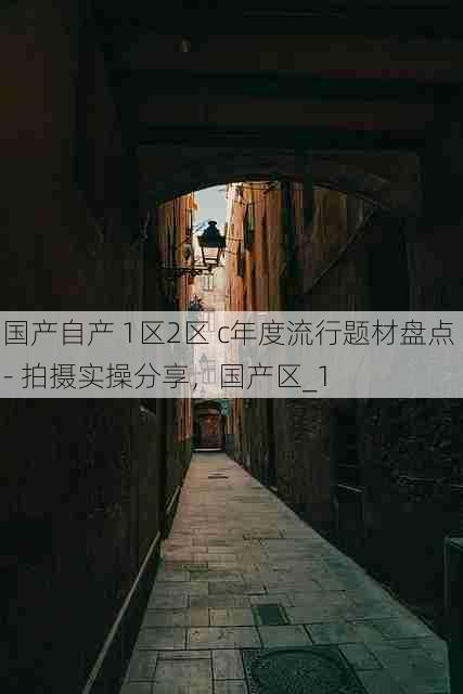 国产自产 1区2区 c年度流行题材盘点 - 拍摄实操分享，国产区_1