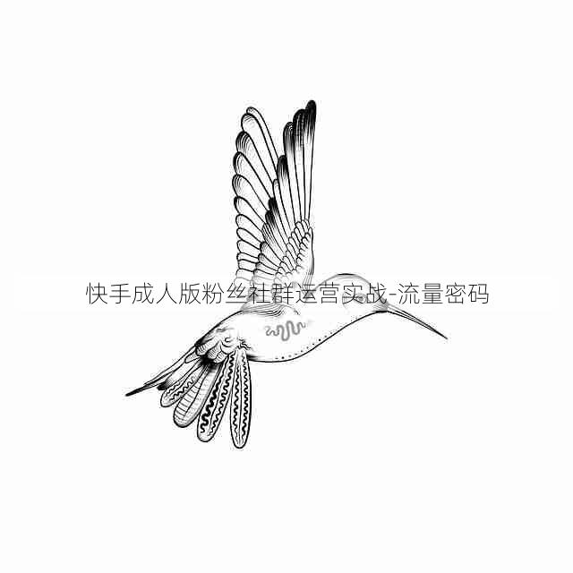 快手成人版粉丝社群运营实战-流量密码